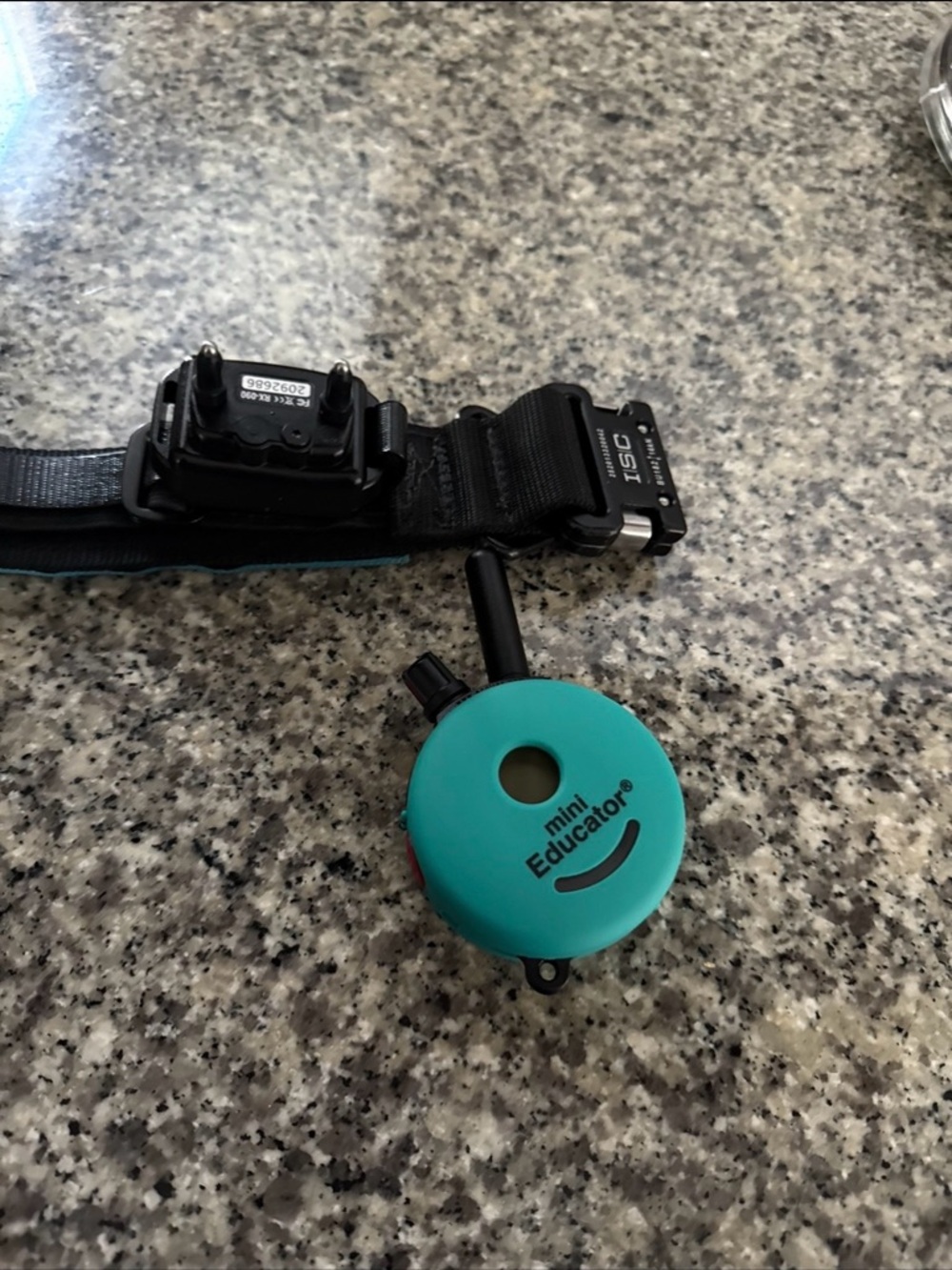 Mini Educator Clicker Remote in Teal